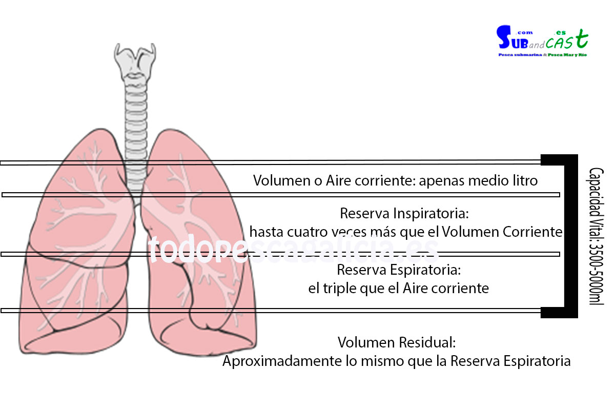 Capacidad-de-pulmones
