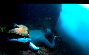 Pesca Submarina en los Bajos de Baldayo – Documental Completo