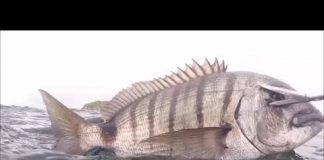 Los dueños del innvierno (Pedro Veiga)