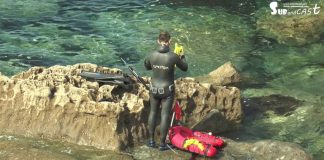 En Busca del Abadejo