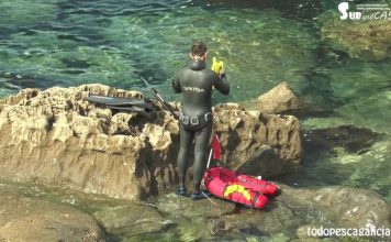 En Busca del Abadejo