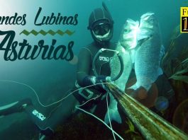 Grandes Lubinas en Asturias – Jordán