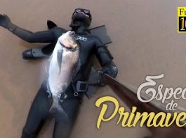 Especies de Primavera