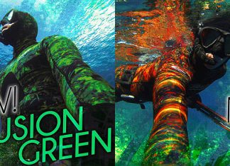 REVIEW EPSEALON FUSION