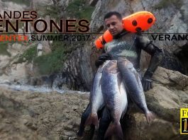 Recopilación grandes dentones