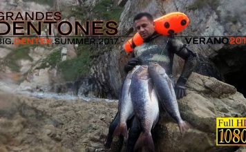 Recopilación grandes dentones