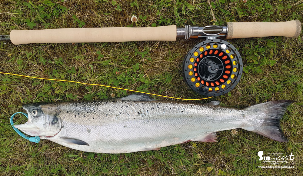 Introduction to salmon fishing 