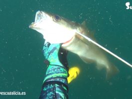 Primer día de la temporada 2018