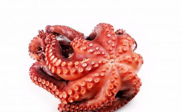 Veda del Pulpo en Galicia 2021